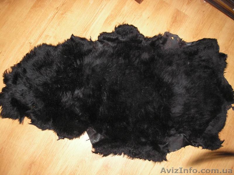 Продам натуральную выделанную овечью шкуру - <ro>Изображение</ro><ru>Изображение</ru> #1, <ru>Объявление</ru> #2854