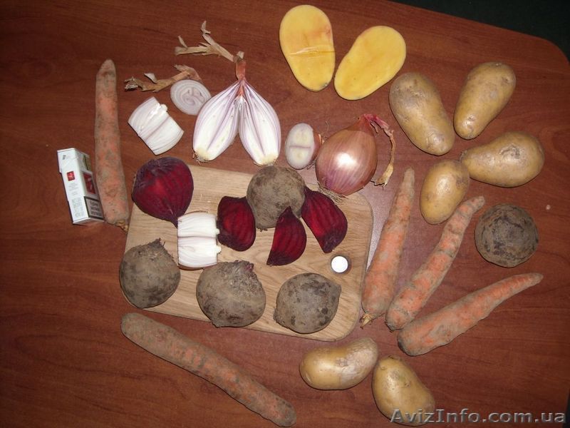 Борщевая группа - Капуста  Лук  Картошка пекинская Морковка Буряк  - <ro>Изображение</ro><ru>Изображение</ru> #1, <ru>Объявление</ru> #18499