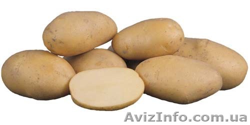 Выращиваем и реализуем, овощи - <ro>Изображение</ro><ru>Изображение</ru> #1, <ru>Объявление</ru> #52133