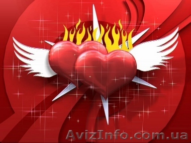 Видеосъемка торжеств - <ro>Изображение</ro><ru>Изображение</ru> #1, <ru>Объявление</ru> #108363