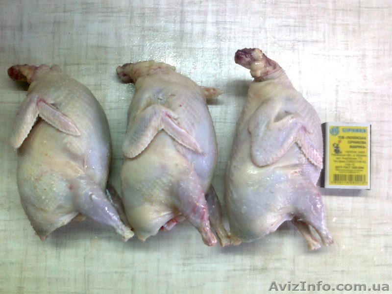 всегда свежее мясо перепелов - <ro>Изображение</ro><ru>Изображение</ru> #1, <ru>Объявление</ru> #141440