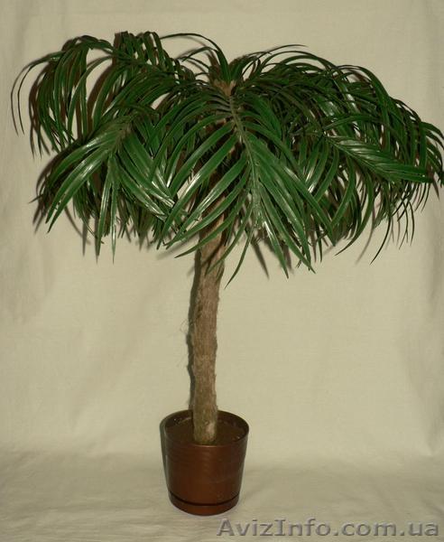 Искусственные цветы, Пальма малая арт. Д 0002  - <ro>Изображение</ro><ru>Изображение</ru> #1, <ru>Объявление</ru> #175413