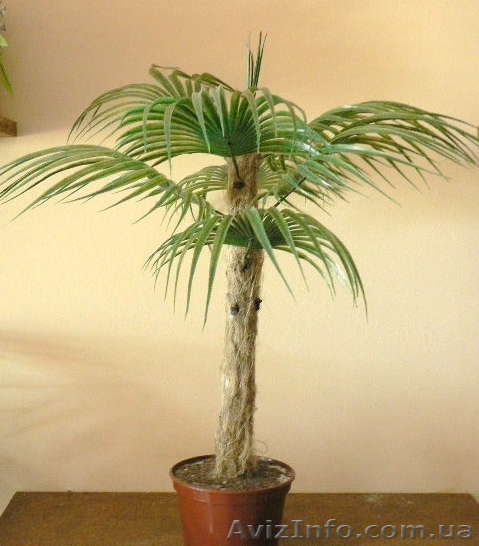 Искусственные цветы. Пальма малая арт. Д0001 - <ro>Изображение</ro><ru>Изображение</ru> #1, <ru>Объявление</ru> #175405
