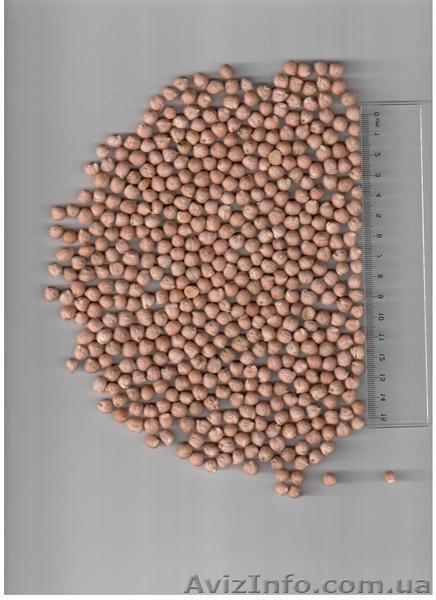 Продам нут cорт "Розанна" - <ro>Изображение</ro><ru>Изображение</ru> #1, <ru>Объявление</ru> #204917