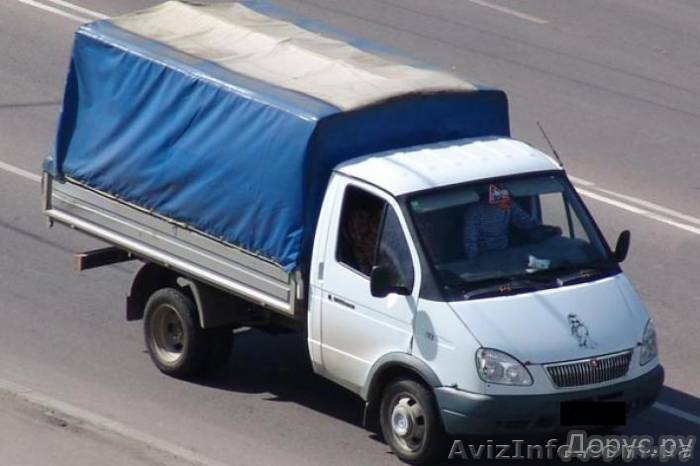 foxfox3030@gmail.com - <ro>Изображение</ro><ru>Изображение</ru> #1, <ru>Объявление</ru> #568106