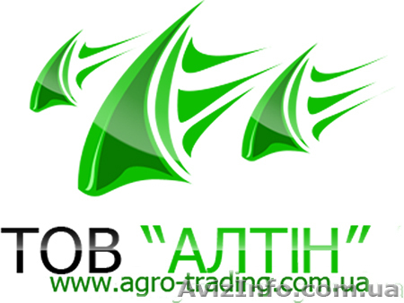 Закупаем рапс оптом - <ro>Изображение</ro><ru>Изображение</ru> #1, <ru>Объявление</ru> #739427