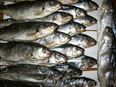 Продается Кутум Астраханский вяленый. - <ro>Изображение</ro><ru>Изображение</ru> #1, <ru>Объявление</ru> #896448