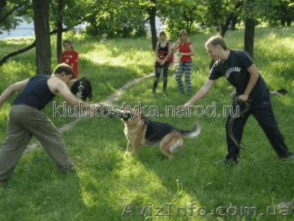 Подготовка караульных собак. - <ro>Изображение</ro><ru>Изображение</ru> #1, <ru>Объявление</ru> #911620