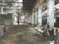 сдам /продам производственно-складские помещения  - <ro>Изображение</ro><ru>Изображение</ru> #2, <ru>Объявление</ru> #314003