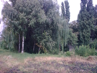 yakunin.dmitriy@mail.ru - <ro>Изображение</ro><ru>Изображение</ru> #5, <ru>Объявление</ru> #360017