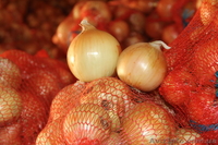 ч/пДар поля 0502913666/0955255888 - <ro>Изображение</ro><ru>Изображение</ru> #1, <ru>Объявление</ru> #371435