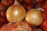 ч/пДар поля 0502913666/0955255888 - <ro>Изображение</ro><ru>Изображение</ru> #2, <ru>Объявление</ru> #371435