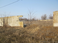 Заборные плиты плоские - <ro>Изображение</ro><ru>Изображение</ru> #2, <ru>Объявление</ru> #587474