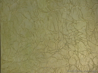 Мастер-класс по работе с декоративными красками и штукатурками - <ro>Изображение</ro><ru>Изображение</ru> #6, <ru>Объявление</ru> #596898