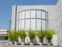 Салон "БРИЗ" Луганск - <ro>Изображение</ro><ru>Изображение</ru> #6, <ru>Объявление</ru> #591740