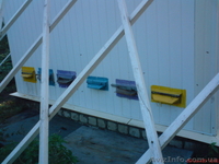 дача п.Христовое - <ro>Изображение</ro><ru>Изображение</ru> #3, <ru>Объявление</ru> #636398