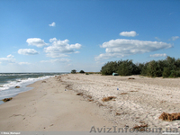 Предлагаем вашему вниманию  - <ro>Изображение</ro><ru>Изображение</ru> #2, <ru>Объявление</ru> #650152