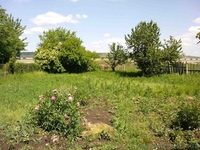 Дом в пос. Белое - <ro>Изображение</ro><ru>Изображение</ru> #3, <ru>Объявление</ru> #670014