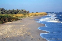 Предлагаем вашему вниманию  - <ro>Изображение</ro><ru>Изображение</ru> #1, <ru>Объявление</ru> #650152