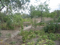 Дом, Луганск в 5км, Лутугино р., п. Георгиевка - <ro>Изображение</ro><ru>Изображение</ru> #10, <ru>Объявление</ru> #690688