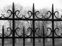 Заборы, ворота, ограждения, калитки из металла от изготовителя - <ro>Изображение</ro><ru>Изображение</ru> #5, <ru>Объявление</ru> #695857