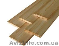 Лиственница сибирская Луганск Украина - <ro>Изображение</ro><ru>Изображение</ru> #2, <ru>Объявление</ru> #153192