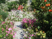 дачу для счастливого образа жизни - <ro>Изображение</ro><ru>Изображение</ru> #3, <ru>Объявление</ru> #724143