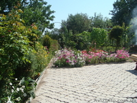 дачу для счастливого образа жизни - <ro>Изображение</ro><ru>Изображение</ru> #2, <ru>Объявление</ru> #724143