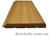 Лиственница сибирская Луганск Украина - <ro>Изображение</ro><ru>Изображение</ru> #4, <ru>Объявление</ru> #153192