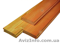 Лиственница сибирская Луганск Украина - <ro>Изображение</ro><ru>Изображение</ru> #5, <ru>Объявление</ru> #153192