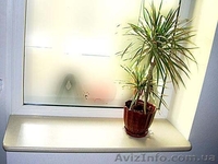 Продажа столешниц и подоконников Луганск - <ro>Изображение</ro><ru>Изображение</ru> #3, <ru>Объявление</ru> #732166