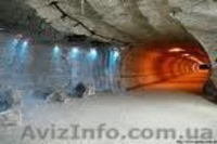 Экскурсии по интересам на любой возраст. - <ro>Изображение</ro><ru>Изображение</ru> #2, <ru>Объявление</ru> #828732