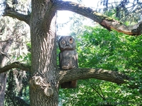 Экскурсия - История Харьковской губерни дворцы, парки , дендропарк. - <ro>Изображение</ro><ru>Изображение</ru> #4, <ru>Объявление</ru> #849209