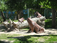   Экскурсия- история Старобельска  его святыни и термальный источник . - <ro>Изображение</ro><ru>Изображение</ru> #4, <ru>Объявление</ru> #834749