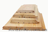 Сибирская лиственница Луганск - <ro>Изображение</ro><ru>Изображение</ru> #5, <ru>Объявление</ru> #857932