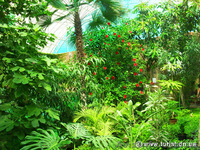  Экскурсии круглый год и в праздники . - <ro>Изображение</ro><ru>Изображение</ru> #5, <ru>Объявление</ru> #856652