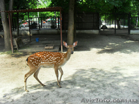  Экскурсии круглый год и в праздники . - <ro>Изображение</ro><ru>Изображение</ru> #3, <ru>Объявление</ru> #856652