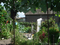 Срочно,недорого. Продается дом в пгт Петровка. - <ro>Изображение</ro><ru>Изображение</ru> #2, <ru>Объявление</ru> #864104