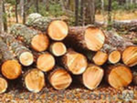 Продам РУДСТОЙКУ - <ro>Изображение</ro><ru>Изображение</ru> #2, <ru>Объявление</ru> #871368