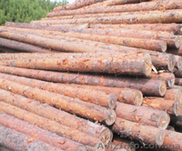 Продам РУДСТОЙКУ - <ro>Изображение</ro><ru>Изображение</ru> #1, <ru>Объявление</ru> #871368