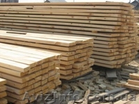 Сибирская лиственница Луганск - <ro>Изображение</ro><ru>Изображение</ru> #7, <ru>Объявление</ru> #857932