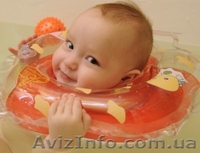 Круги BabySwimmer для купания 0-24 месяца со склада - <ro>Изображение</ro><ru>Изображение</ru> #1, <ru>Объявление</ru> #879109