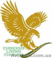 ,Партнёр дистрибъютор компании Forever Living Products. - <ro>Изображение</ro><ru>Изображение</ru> #1, <ru>Объявление</ru> #911790