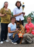 Щенки немецкой овчарки!!! - <ro>Изображение</ro><ru>Изображение</ru> #1, <ru>Объявление</ru> #946056