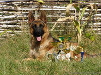 Ищу невесту!!!!! - <ro>Изображение</ro><ru>Изображение</ru> #5, <ru>Объявление</ru> #946057