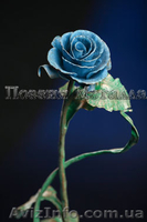 Удивительный подарок девушке - <ro>Изображение</ro><ru>Изображение</ru> #3, <ru>Объявление</ru> #986475