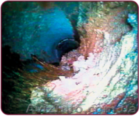 Видеоинспекция Телеинспекция - <ro>Изображение</ro><ru>Изображение</ru> #6, <ru>Объявление</ru> #1044448