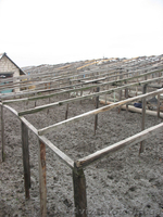 Очень СРОЧНО. Продам дом в отличном состоянии. В Станице-Луганской (Погореловка) - <ro>Изображение</ro><ru>Изображение</ru> #5, <ru>Объявление</ru> #1336906