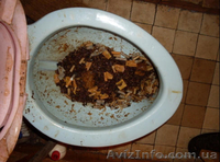 Аварийка Луганск - <ro>Изображение</ro><ru>Изображение</ru> #4, <ru>Объявление</ru> #1338711