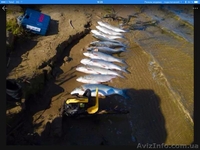 Рыбалка и отдых на реке Дон для всей семьи . - <ro>Изображение</ro><ru>Изображение</ru> #5, <ru>Объявление</ru> #1571781